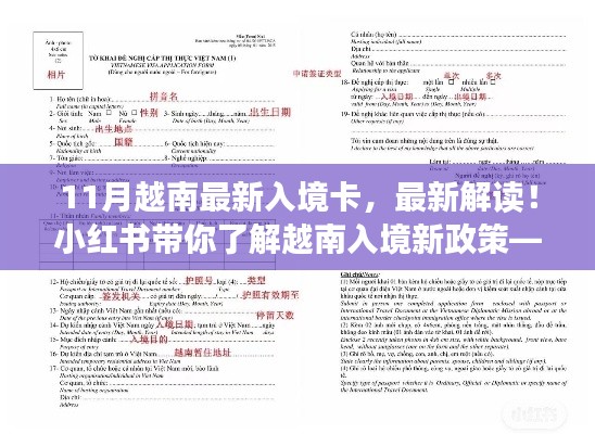 小紅書解讀，最新越南入境卡詳解及新政策解析