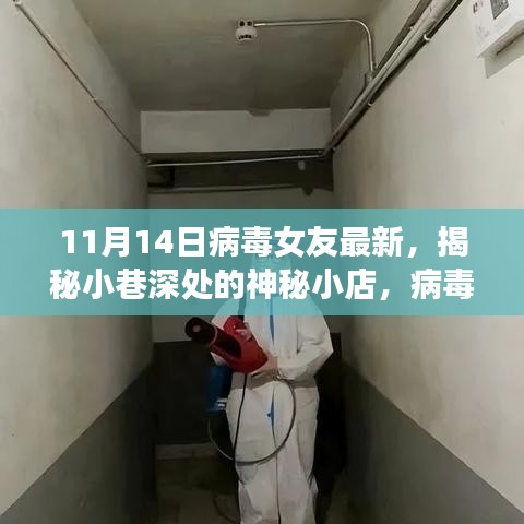 揭秘神秘小巷小店，病毒女友帶你探尋獨特風(fēng)情——11月14日最新報道