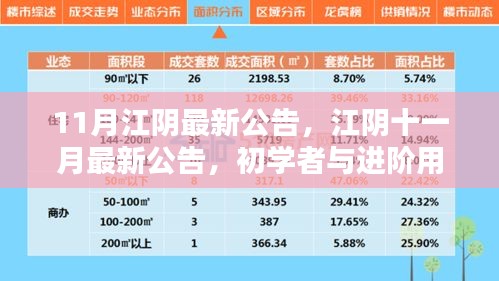 江陰十一月最新公告發(fā)布，初學(xué)者與進(jìn)階用戶指南詳解