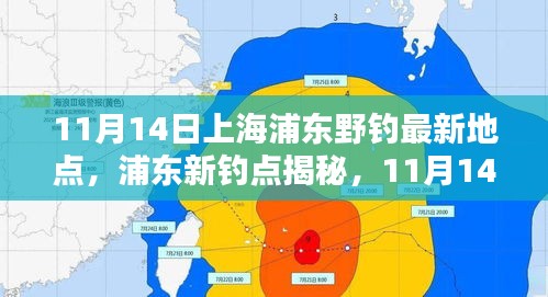 探尋自然之魚的樂園，上海浦東新釣點(diǎn)揭秘與垂釣盛宴（11月14日）