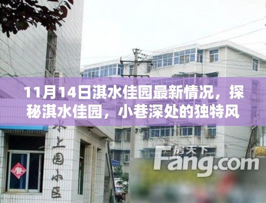 探秘淇水佳園，小巷深處的獨(dú)特風(fēng)情——最新探訪(fǎng)報(bào)告（11月14日）