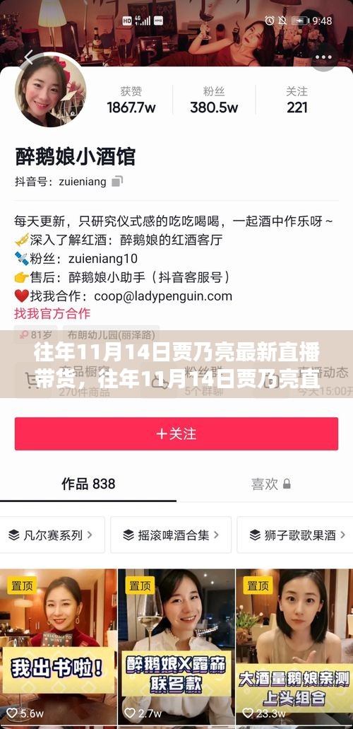 賈乃亮直播帶貨回顧，全面評測與介紹，歷年雙十一直播帶貨新動態(tài)