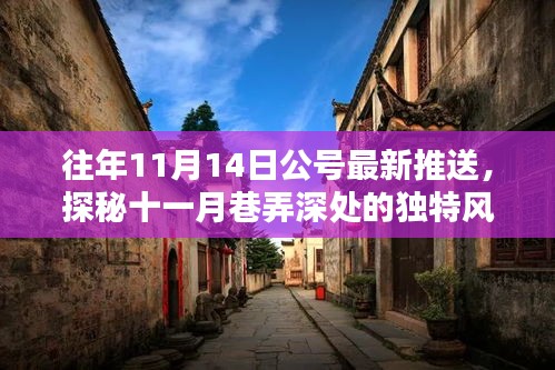 揭秘十一月巷弄深處的隱藏特色小店，獨特風味揭曉日