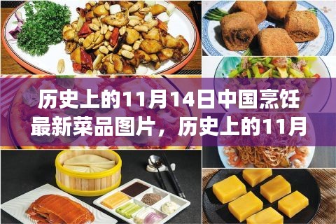 11月14日中國烹飪新菜品圖片展示，歷史菜品深度評(píng)測(cè)與介紹