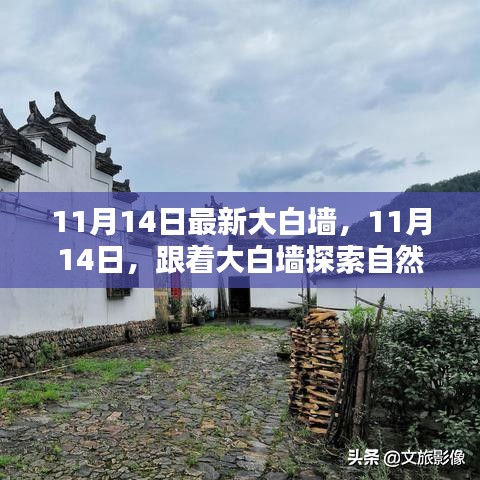 11月14日大白墻引領(lǐng)自然秘境之旅，探索內(nèi)心寧靜與平和的奧秘