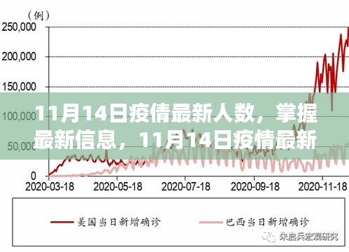 11月14日疫情最新人數(shù)查詢指南，掌握最新信息