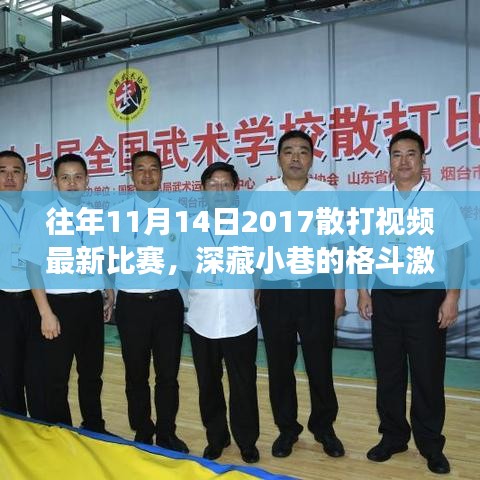 揭秘深藏小巷的獨(dú)特小店，往年散打比賽的激情重現(xiàn)與神秘角落探索（2017年11月14日最新比賽視頻）