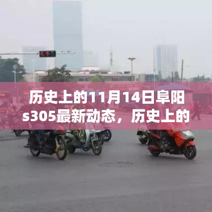歷史上的11月14日阜陽S305最新動態(tài)深度解析，聚焦三大要點揭秘最新進展與動態(tài)更新