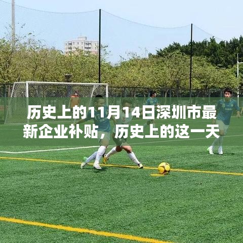 歷史上的11月14日深圳市新企業(yè)補貼政策回顧，影響與展望