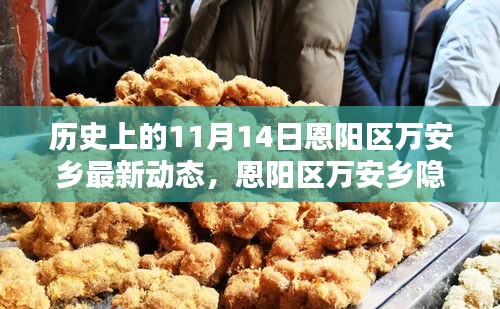 恩陽(yáng)區(qū)萬(wàn)安鄉(xiāng)隱秘小巷的百年風(fēng)味揭秘，最新動(dòng)態(tài)報(bào)道在11月14日