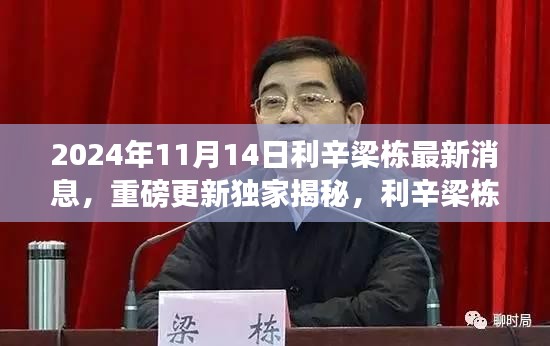 獨家揭秘，利辛梁棟最新動態(tài)與消息重磅更新，2024年11月14日最新進展揭秘。