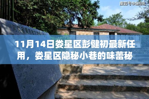 婁星區(qū)新任彭健初揭秘，小巷美食背后的故事與任命軌跡