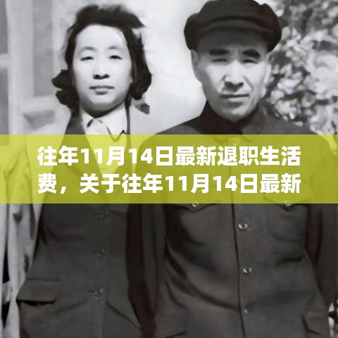往年11月14日退職生活費(fèi)調(diào)整解讀與展望，最新政策分析與生活費(fèi)趨勢(shì)展望