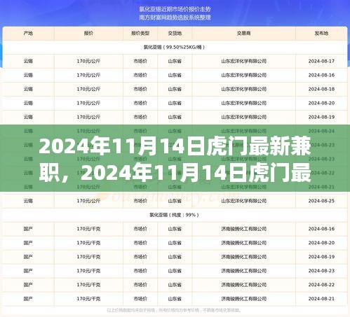 2024年11月14日虎門最新兼職，機遇與挑戰(zhàn)并存