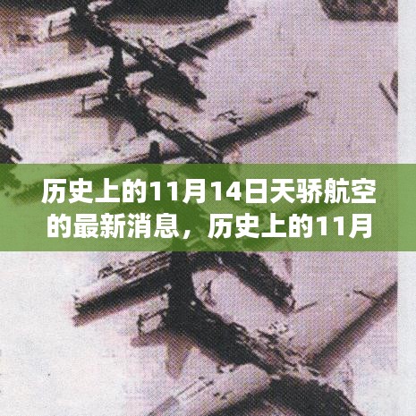 歷史上的天驕航空，探尋自然美景與心靈寧靜之旅的啟程日——11月14日最新消息
