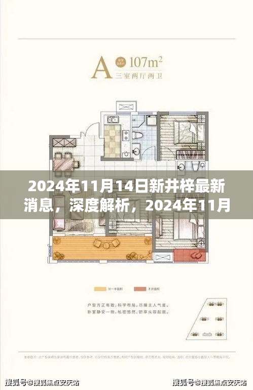 深度解析，2024年11月14日新井梓產(chǎn)品最新消息揭秘，特性、用戶體驗與目標用戶群體探討