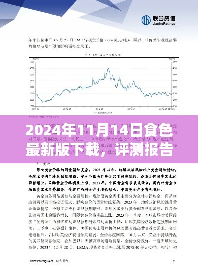 深度評測報告，2024年食色最新版下載解析