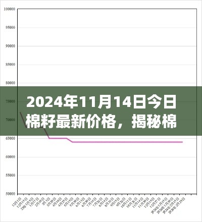 揭秘棉籽市場走勢，最新價格動態(tài)分析與預測（2024年11月14日）