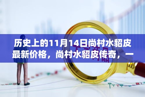 溫馨探秘之旅，尚村水貂皮傳奇與最新價格揭秘（歷史篇）