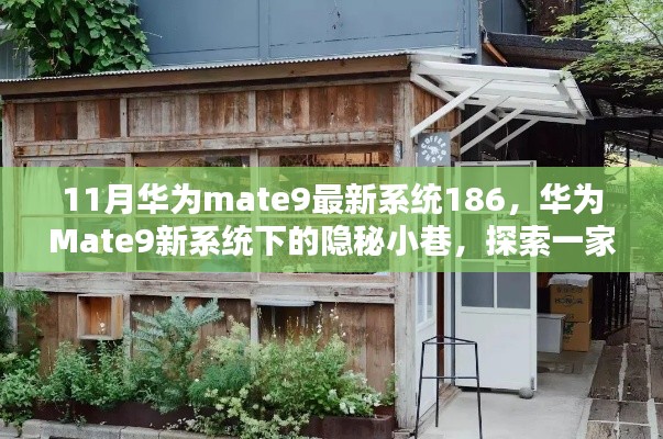 華為Mate9最新系統(tǒng)探索，隱秘小巷的特色小店