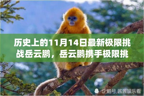 岳云鵬揭秘科技新紀元，極限挑戰(zhàn)攜手超燃高科技產(chǎn)品震撼登場（11月14日）