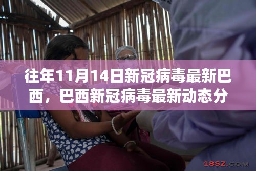 歷年11月14日巴西新冠病毒動態(tài)分析，最新數(shù)據(jù)與趨勢探討