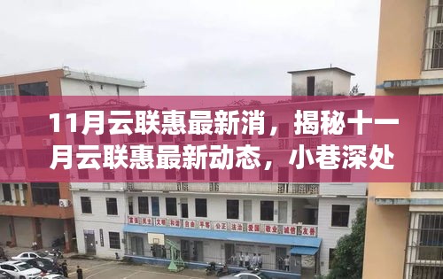 揭秘十一月云聯(lián)惠最新動態(tài)，小巷特色小店深度探索