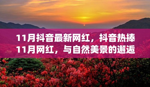 抖音熱捧的11月網(wǎng)紅，與自然美景的邂逅與內(nèi)心寧靜之旅