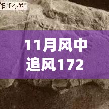 揭秘，風(fēng)中追風(fēng)最新裝備的時(shí)代地位與影響，逐風(fēng)而行，價(jià)值高達(dá)172萬裝備重磅登場(chǎng)！