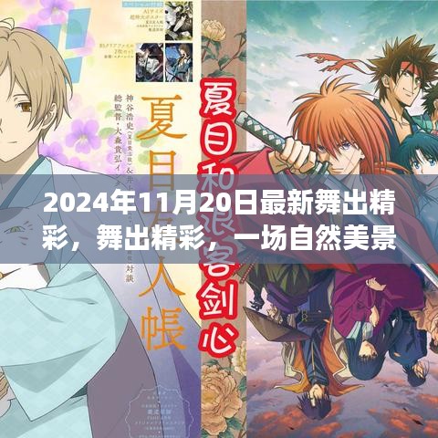 舞出精彩，自然美景的治愈之旅（2024年11月20日最新）