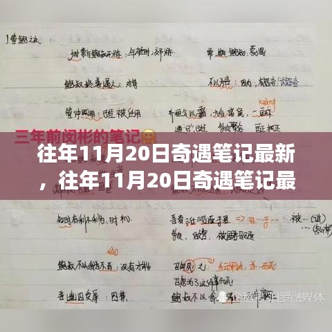 揭秘往年11月20日奇遇筆記，意想不到的旅程揭秘最新動態(tài)