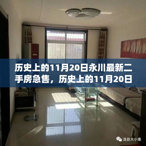 歷史上的11月20日永川最新二手房急售，歷史上的11月20日，永川二手房市場急售現(xiàn)象深度解析