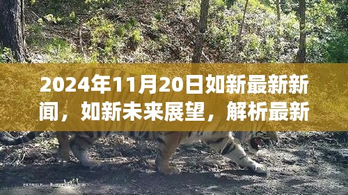 2024年如新最新新聞動(dòng)態(tài)及未來(lái)展望，解析最新動(dòng)態(tài)與觀點(diǎn)分歧