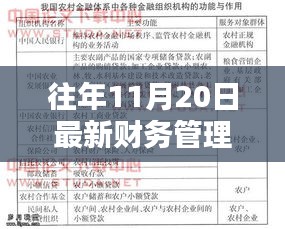 往年11月最新財(cái)務(wù)管理制度范本及小巷特色小店探秘，揭示獨(dú)特魅力與制度范本大全