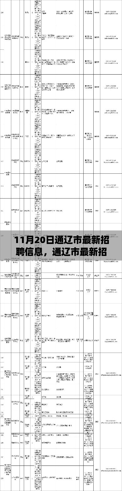 通遼市最新招聘信息概覽，職場人的福音（11月20日更新）