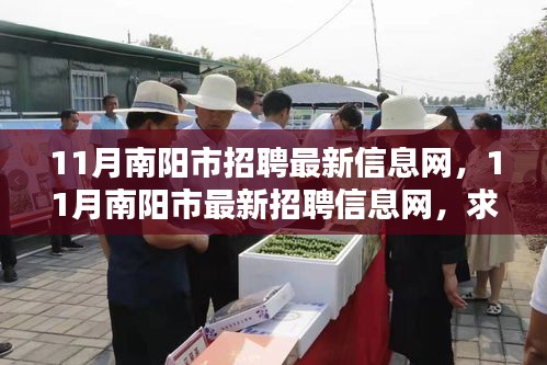 11月南陽(yáng)市最新招聘信息大全，求職招聘黃金季節(jié)