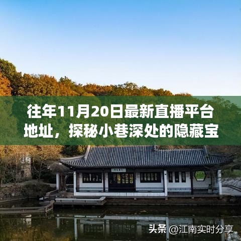 探秘小巷深處的寶藏，十一月二十日最新直播平臺獨特魅力之旅的地址分享