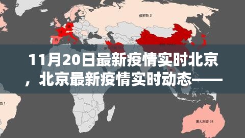 北京疫情最新動(dòng)態(tài)，11月20日報(bào)告及關(guān)鍵要點(diǎn)解析