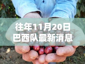 巴西隊(duì)最新動(dòng)態(tài)與小巷探秘，揭秘背后秘密與最新消息