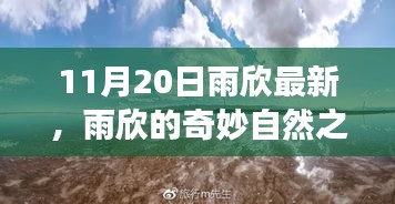 花開無言 第17頁(yè)