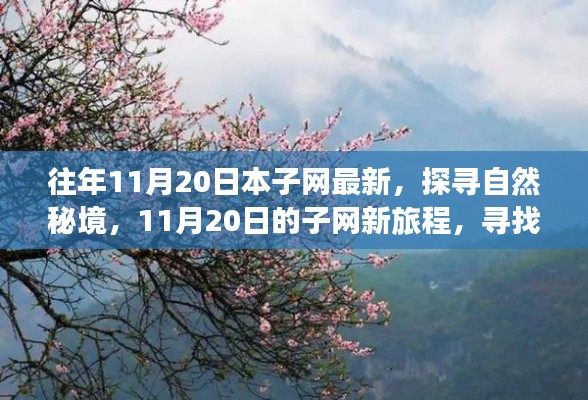 往年11月20日本子網(wǎng)最新，探尋自然秘境，11月20日的子網(wǎng)新旅程，尋找內(nèi)心的桃花源