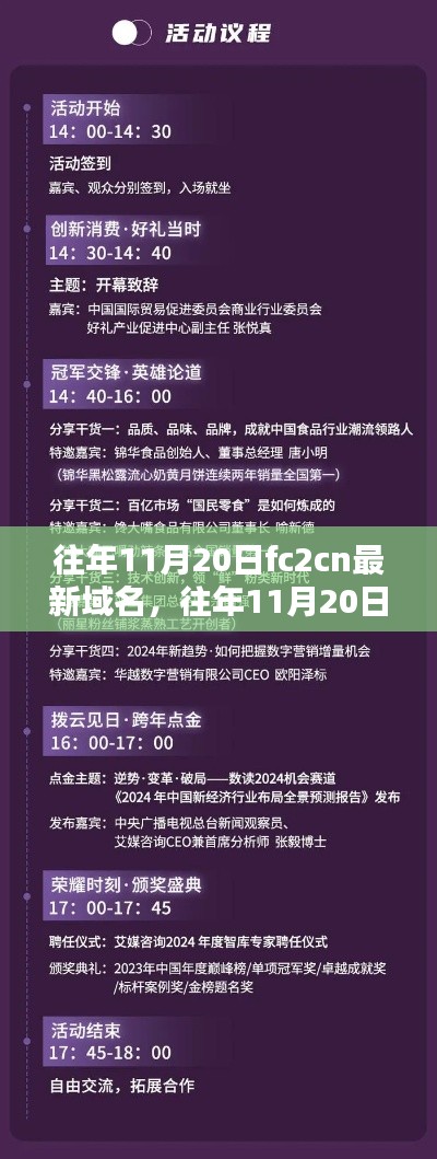 往年11月20日FC2CN域名更新，解析與觀點闡述