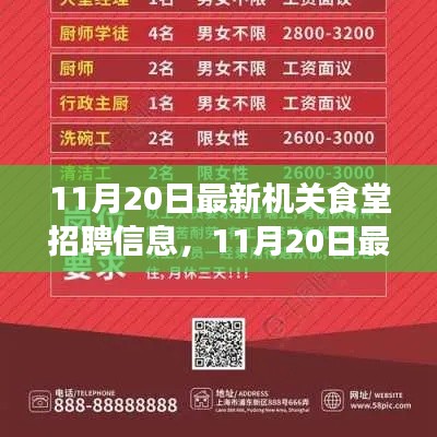 最新機關食堂招聘信息詳解，11月20日發(fā)布的全解析報告