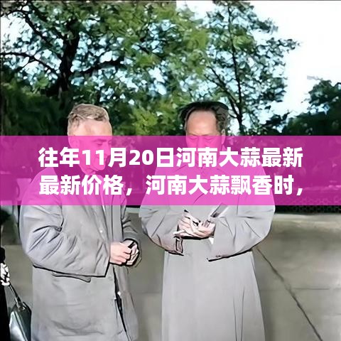河南大蒜價格更新與一場自然美景的心靈之旅，大蒜飄香時節(jié)的探尋