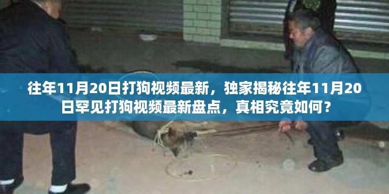 獨家揭秘，往年11月20日罕見打狗事件回顧與最新視頻盤點，真相揭秘！