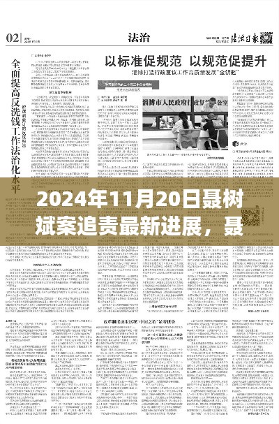 聶樹斌案追責(zé)最新進展深度解析，2024年11月20日追責(zé)進展及評測