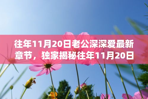 往年11月20日老公深情與高科技融合，全新智能伴侶揭秘，顛覆想象！
