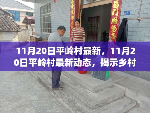 11月20日平嶺村最新，11月20日平嶺村最新動態(tài)，揭示鄉(xiāng)村發(fā)展的時代脈搏