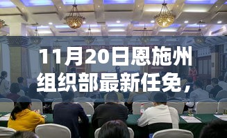 恩施州組織部最新任免動(dòng)態(tài)解析及用戶群體分析，特性、體驗(yàn)與競(jìng)品對(duì)比報(bào)告