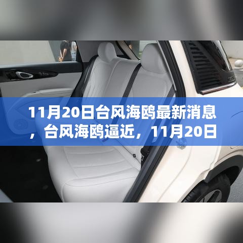 臺風(fēng)海鷗逼近，最新動(dòng)態(tài)及應(yīng)對指南（11月20日更新）